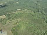 000 Sugar Barbour Rd - Photo 9