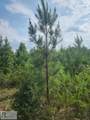 0001 Mount Tabor Rd - Photo 2