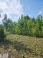 0001 Mount Tabor Rd - Photo 3