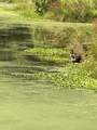 L31/31A Shady Pond Rd - Photo 14
