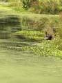 L30/30A Shady Pond Rd - Photo 19