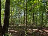 L31/31A Shady Pond Rd - Photo 10