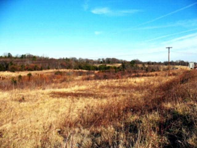 0 South Boston Rd - Photo 1