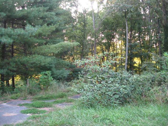 2919 Finch Dr - Photo 1