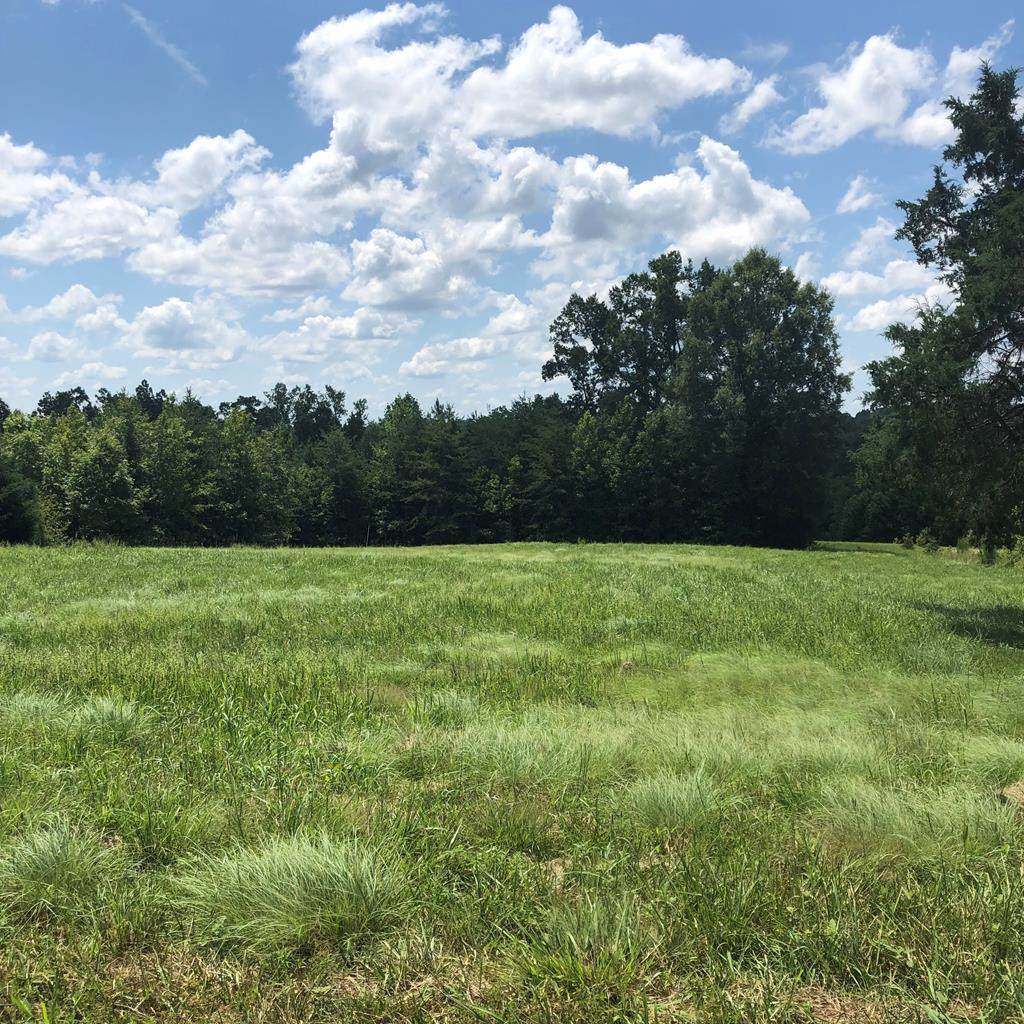 Lot 24 Golf Club Rd - Photo 1