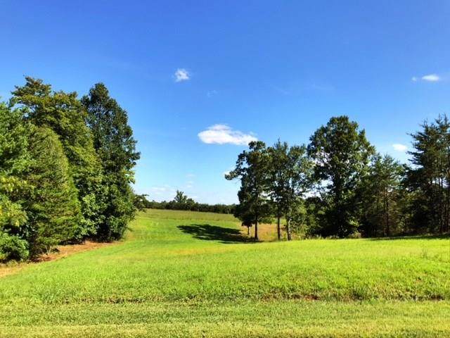 135 Magnolia Acres Rd - Photo 1