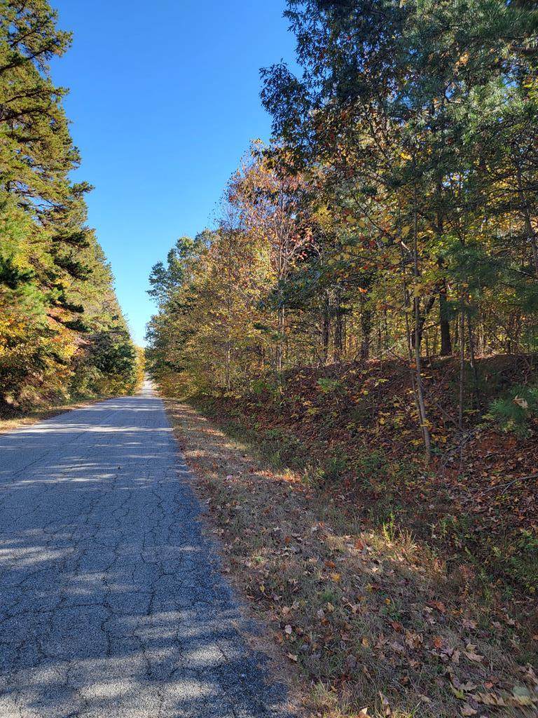 0 Williamson Rd - Photo 1
