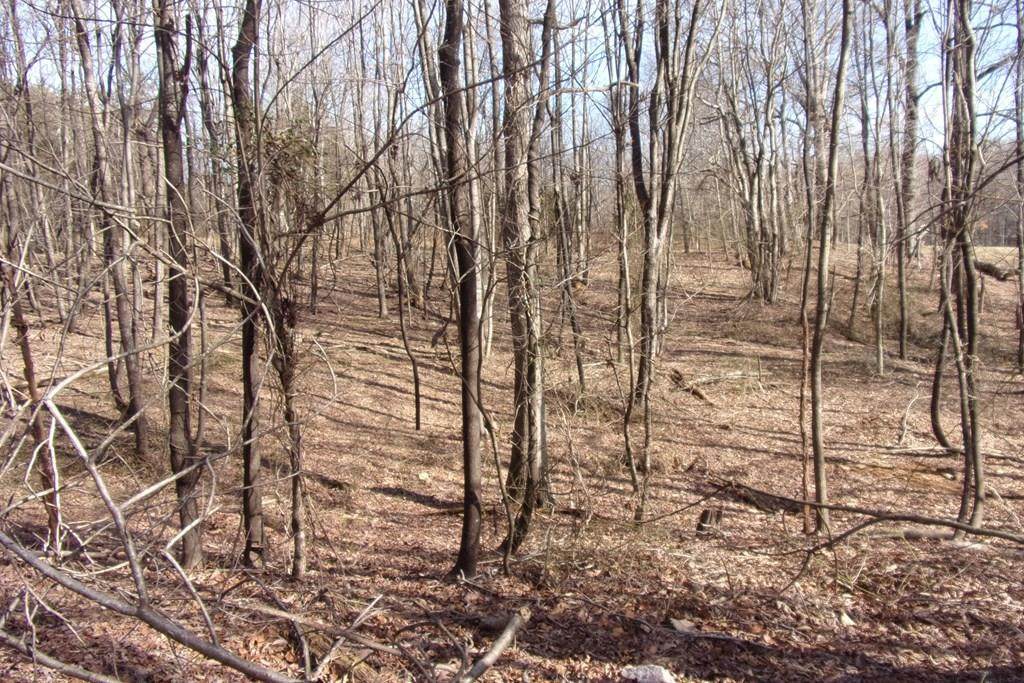 00 Museville Rd - Photo 1