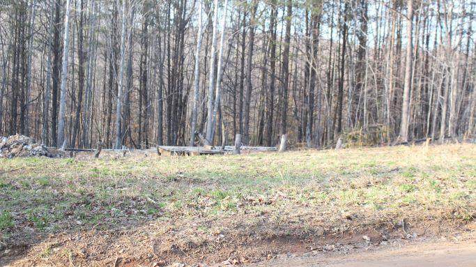252 Log Cabin Circle - Photo 1