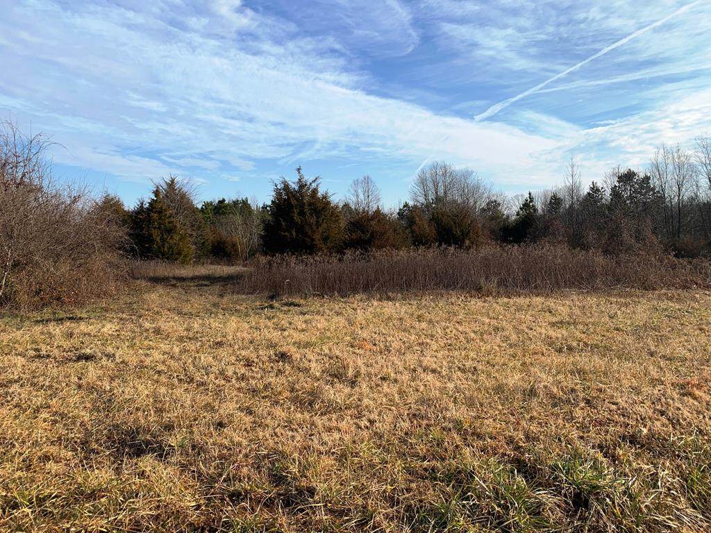 000 Henderson Rd - Photo 1