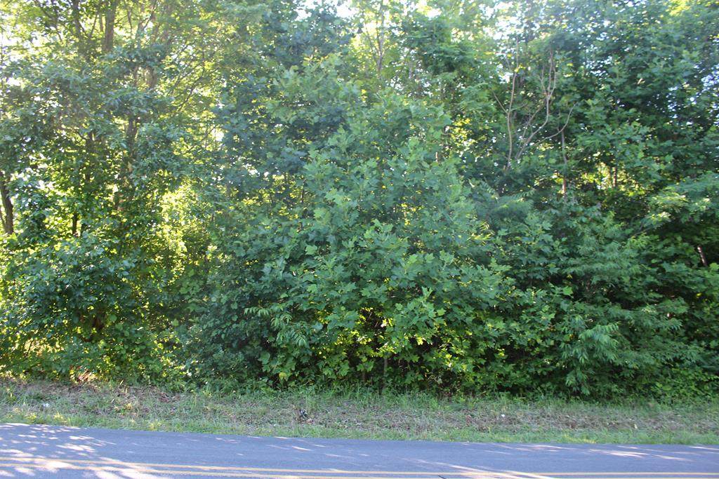 0 Sandy River Rd - Photo 1