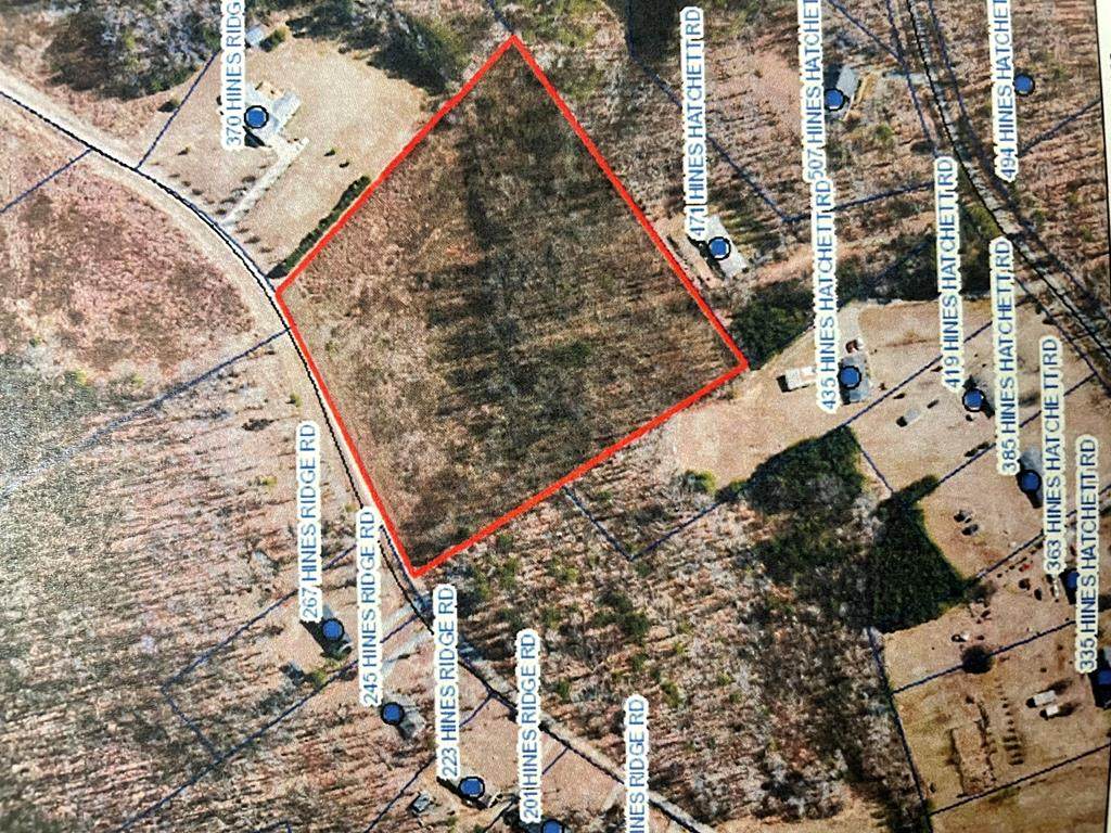 00 Hines Ridge Rd - Photo 1