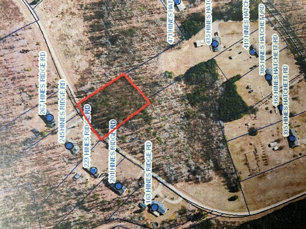 00 Hines Ridge Rd - Photo 1