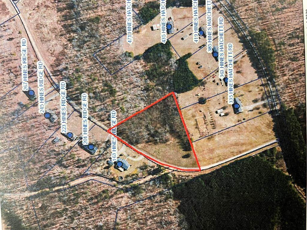00 Hines Ridge Rd - Photo 1