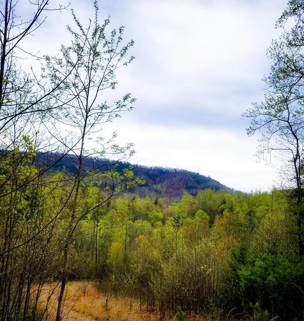 00 Sparta Road - Photo 1