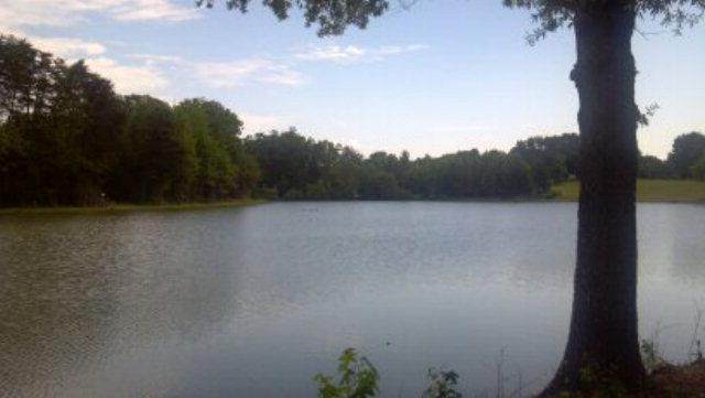 00 Deerwood Dr - Photo 1