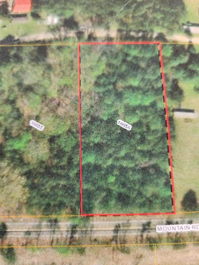 00 Mountain Rd - Photo 1