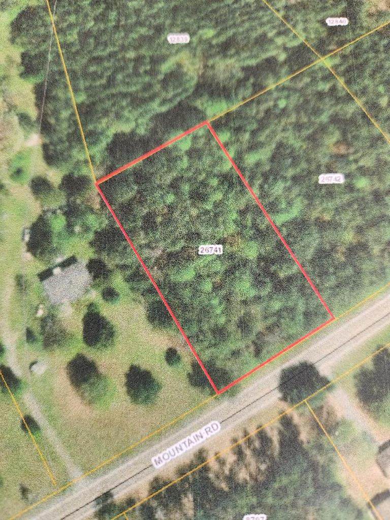 000 Mountain Rd - Photo 1