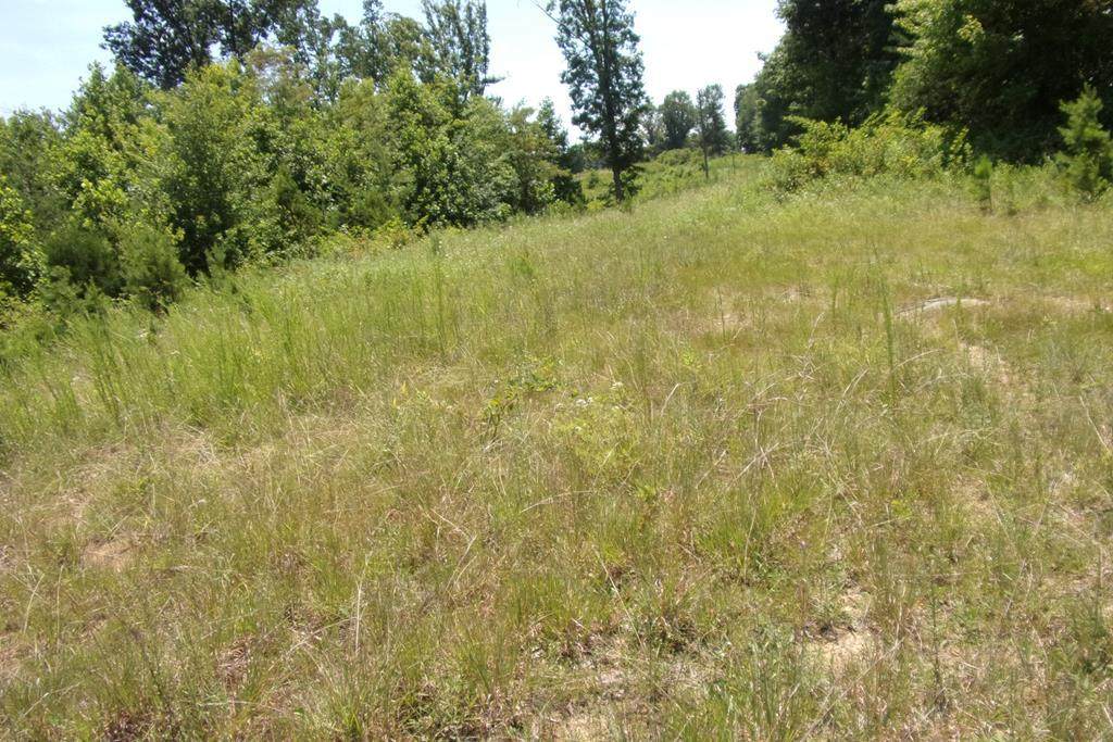 00 Cooper Rd - Photo 1