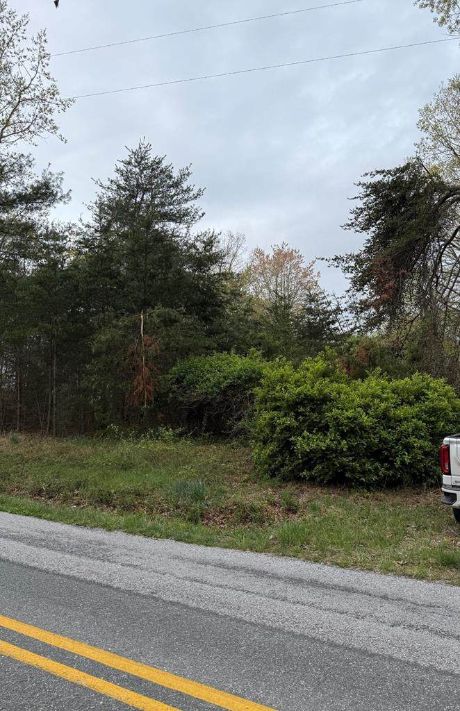 4205 Old Mine Rd - Photo 1