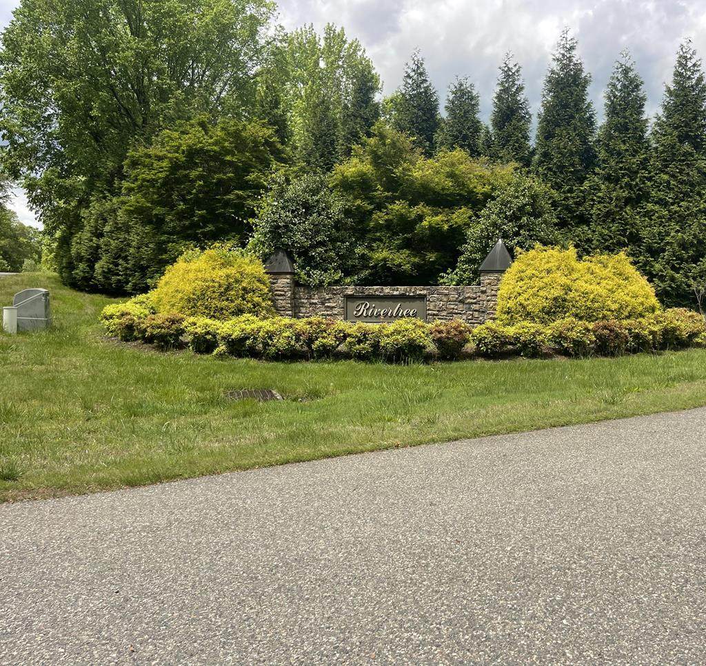 Lot 25 Rivertree Dr - Photo 1