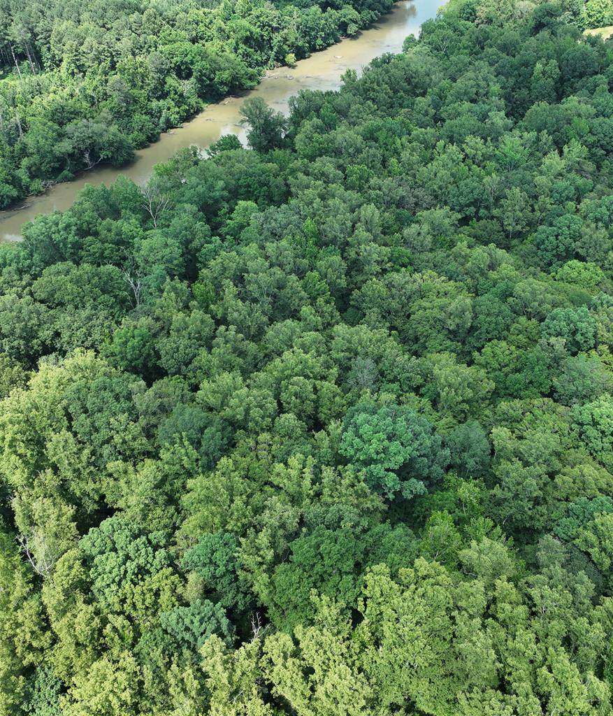 0 Old Cabin Rd - Photo 1