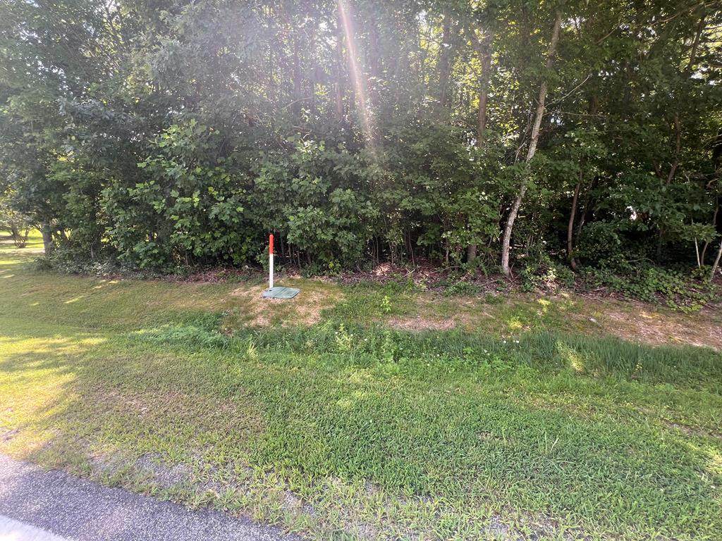 00 Goodman Rd - Photo 1