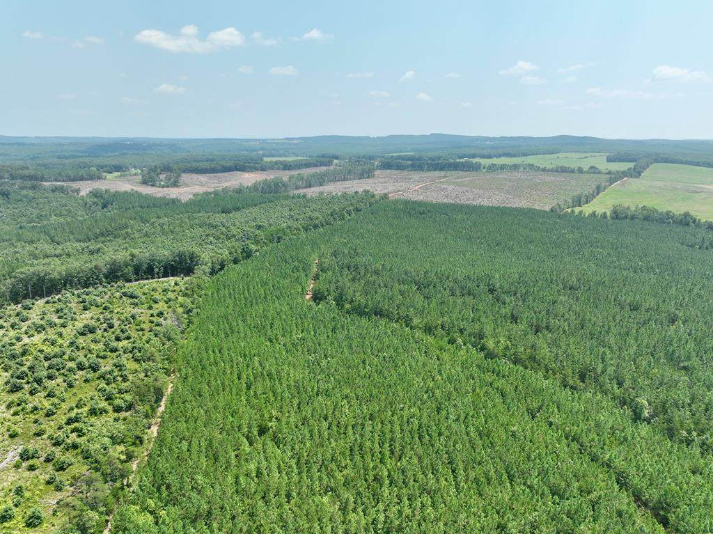 0 Moores Dr - Photo 1