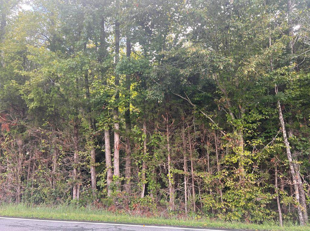 3442 Walters Mill Rd - Photo 1