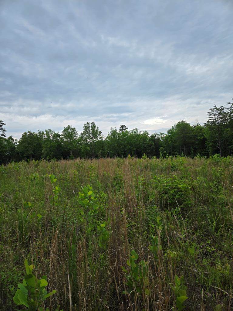 00 Church Rd - Photo 1