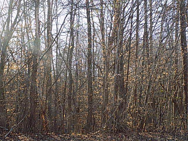 9 Grandimere Dr - Photo 1