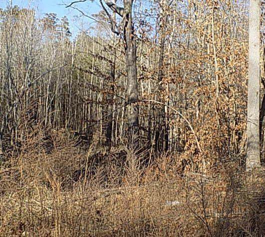 14 Grandimere Dr - Photo 1