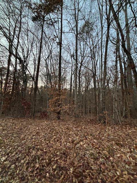 0 Westhaven Dr - Photo 1