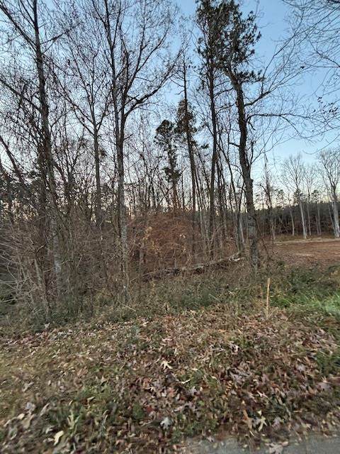 0 Westhaven Dr - Photo 1