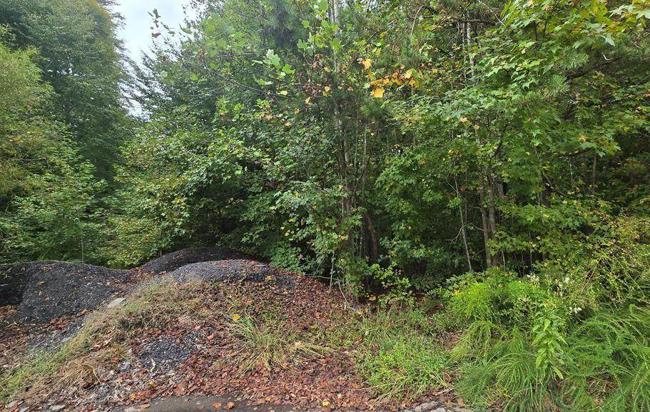 0 Revere Rd - Photo 1