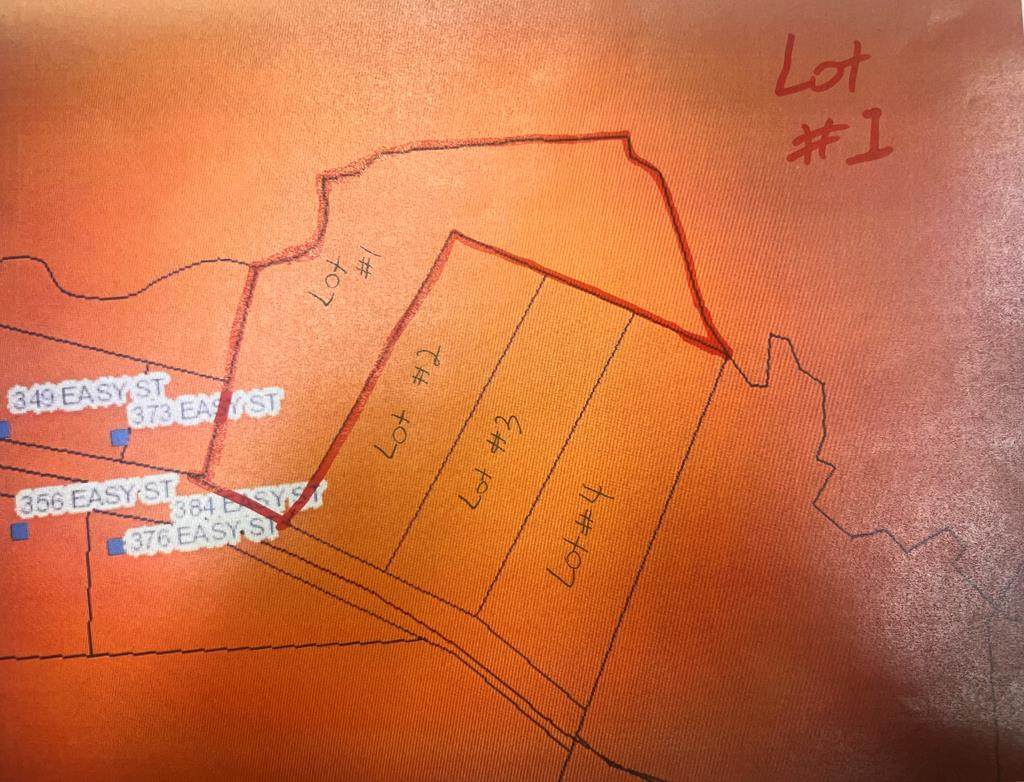 0 lot 1 Easy St - Photo 1