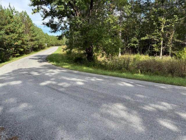 lot 8 Cherrystone Lake Rd - Photo 1
