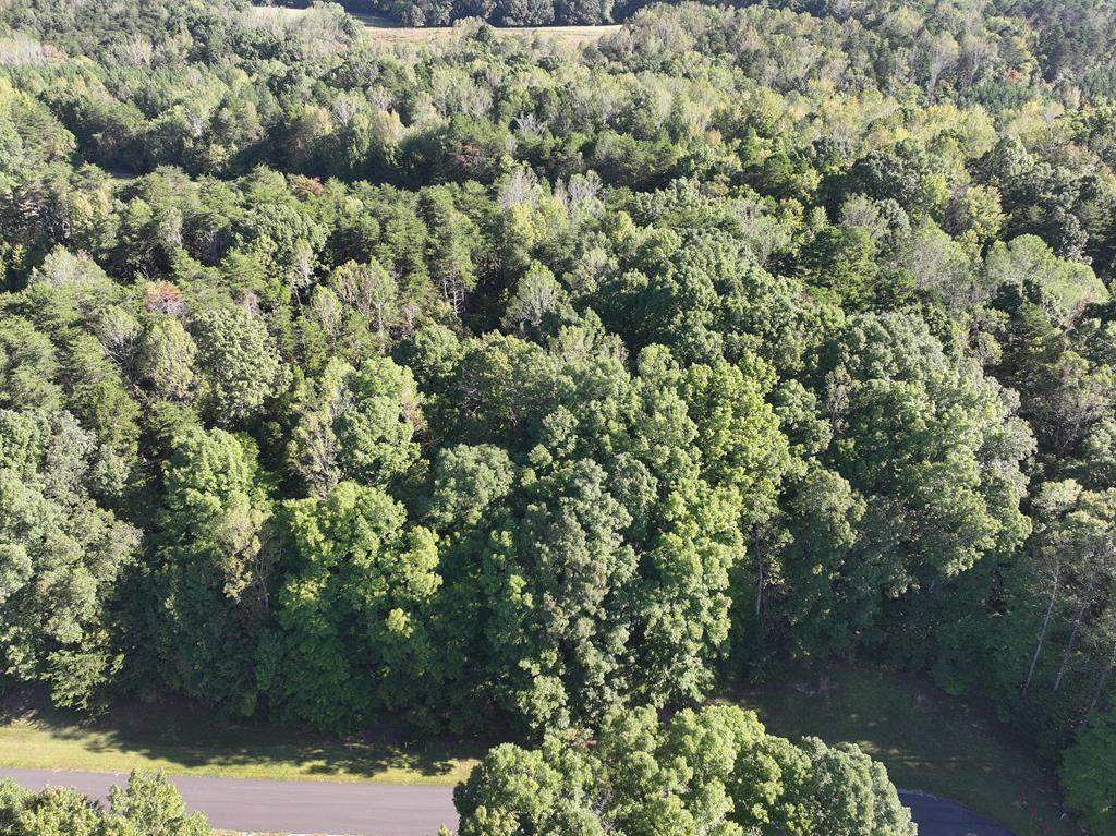 L31/31A Shady Pond Rd - Photo 1