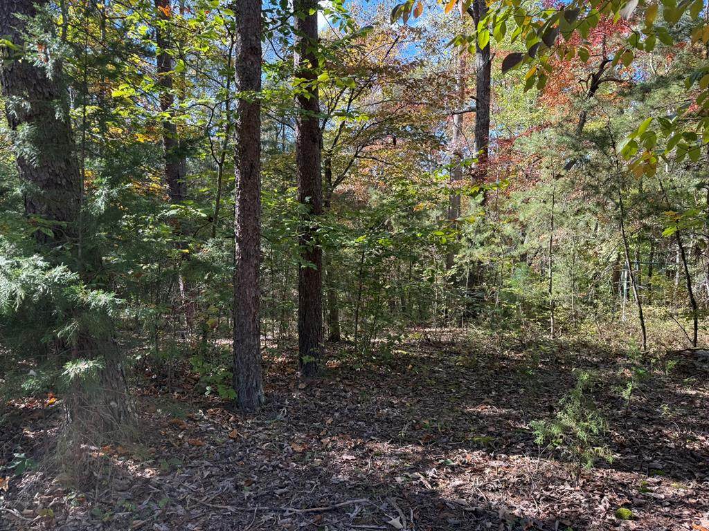 1.5 Remington Way - Photo 1