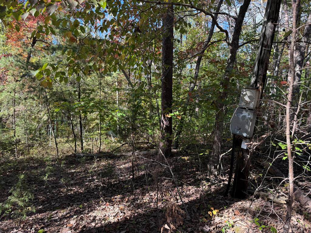 .95 Remington Way - Photo 1