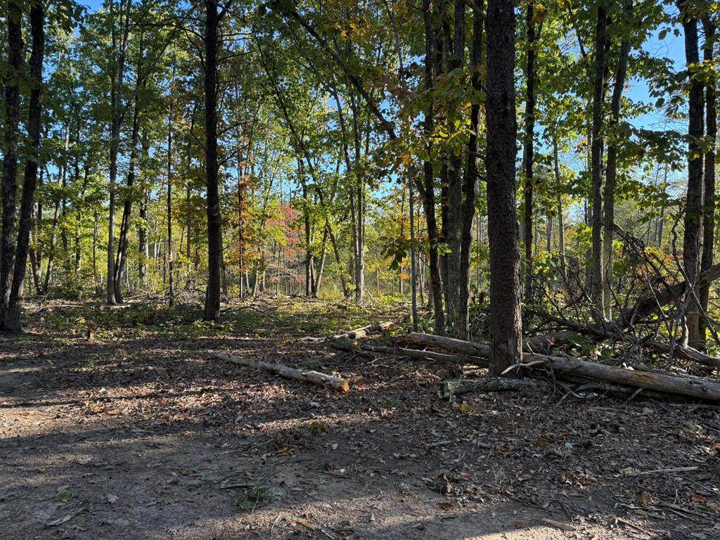 12.97 Cotton Patch Rd - Photo 1