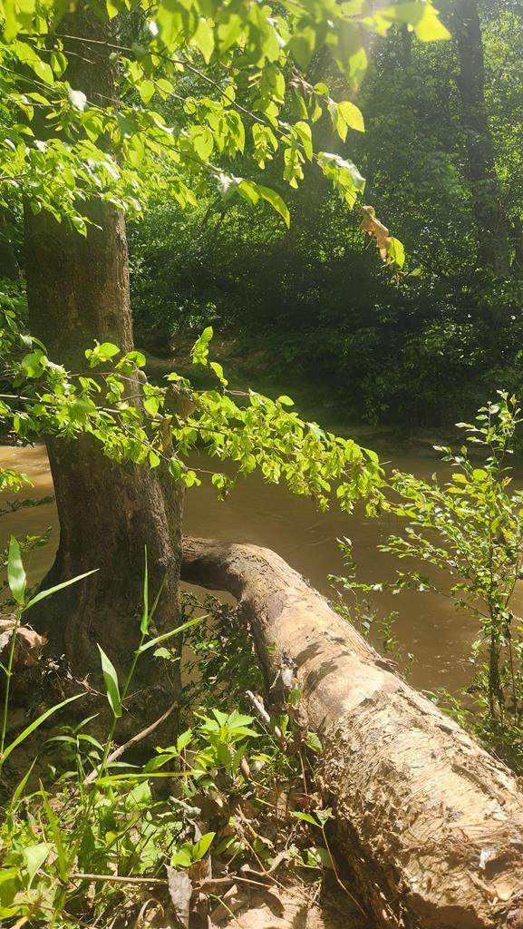 Lot 18 Reeves Mill Rd - Photo 1