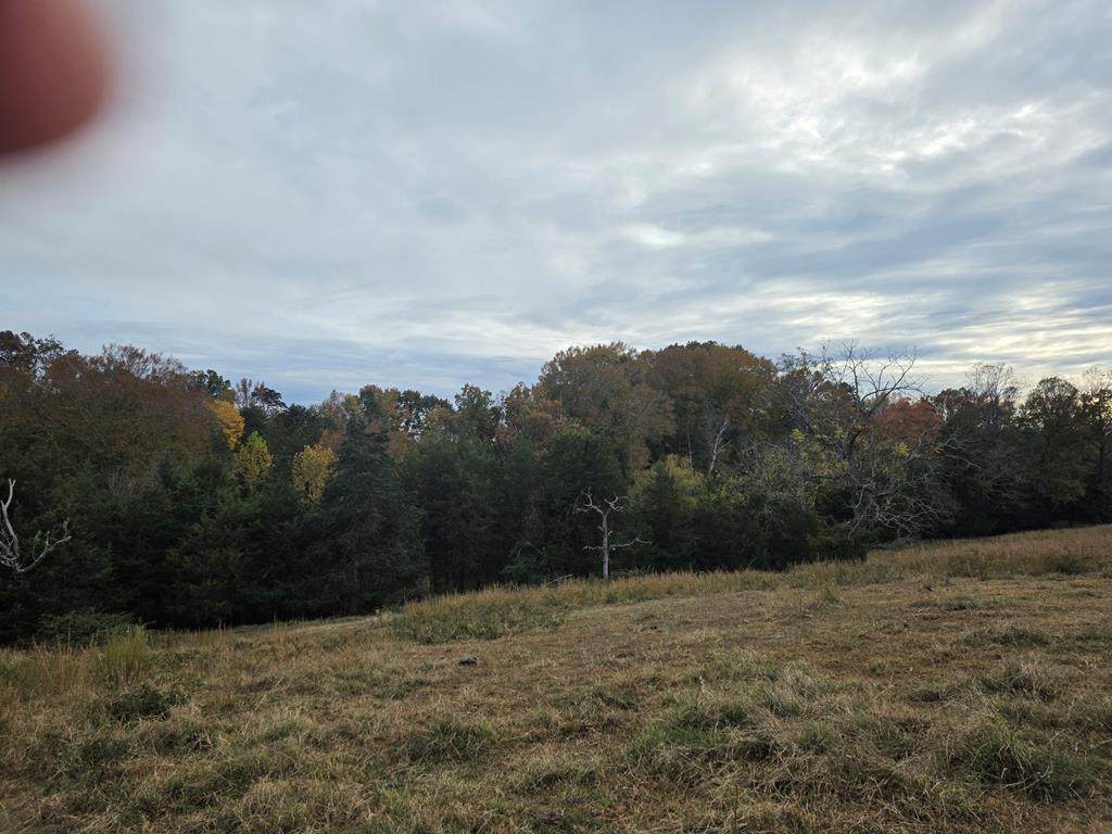 00 Mountain Hill Rd - Photo 1