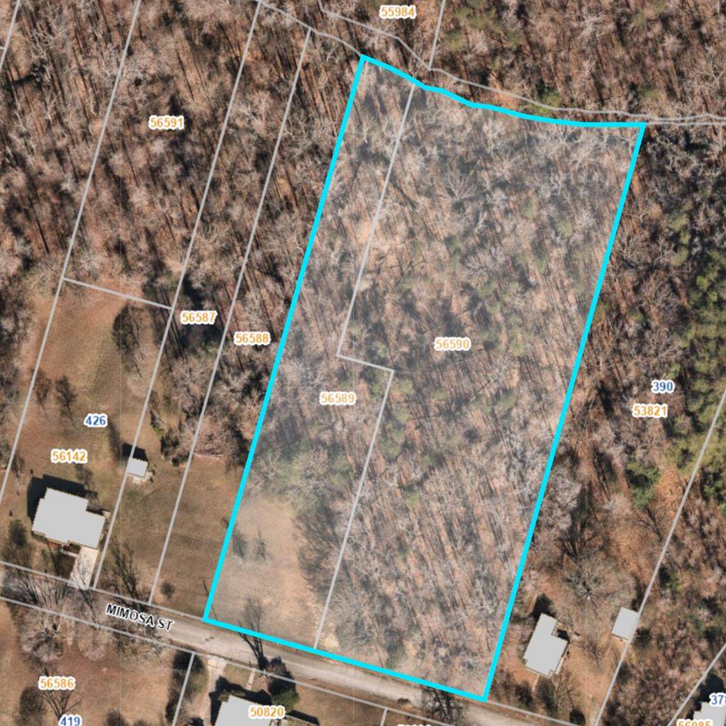 0 Mimosa St - Photo 1