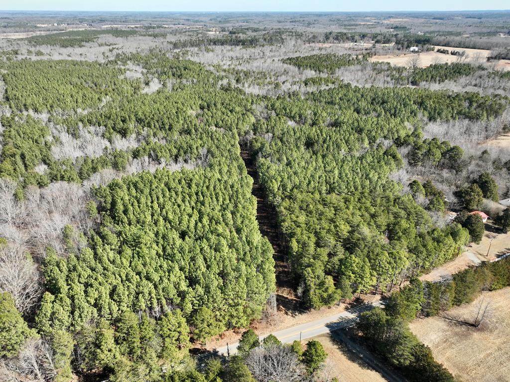 0 Piney Grove Rd - Photo 1