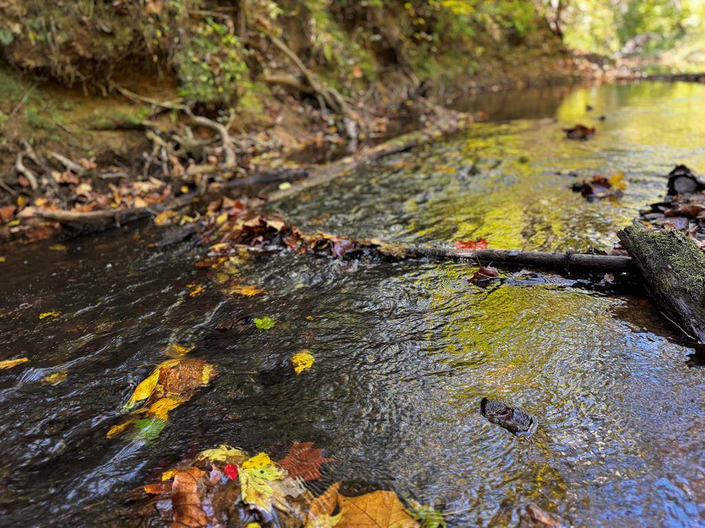 00 Courthouse Rd - Photo 1