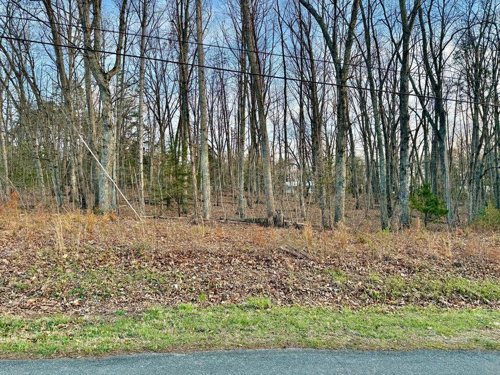 0 Spring St - Photo 1