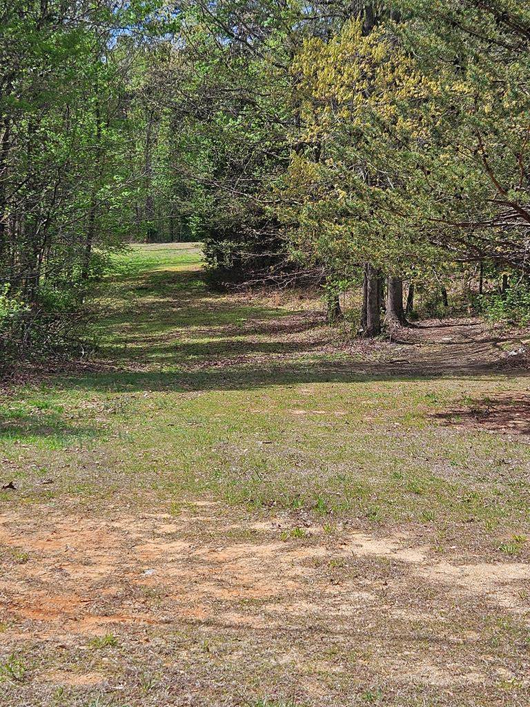 00 Afton Rd - Photo 1