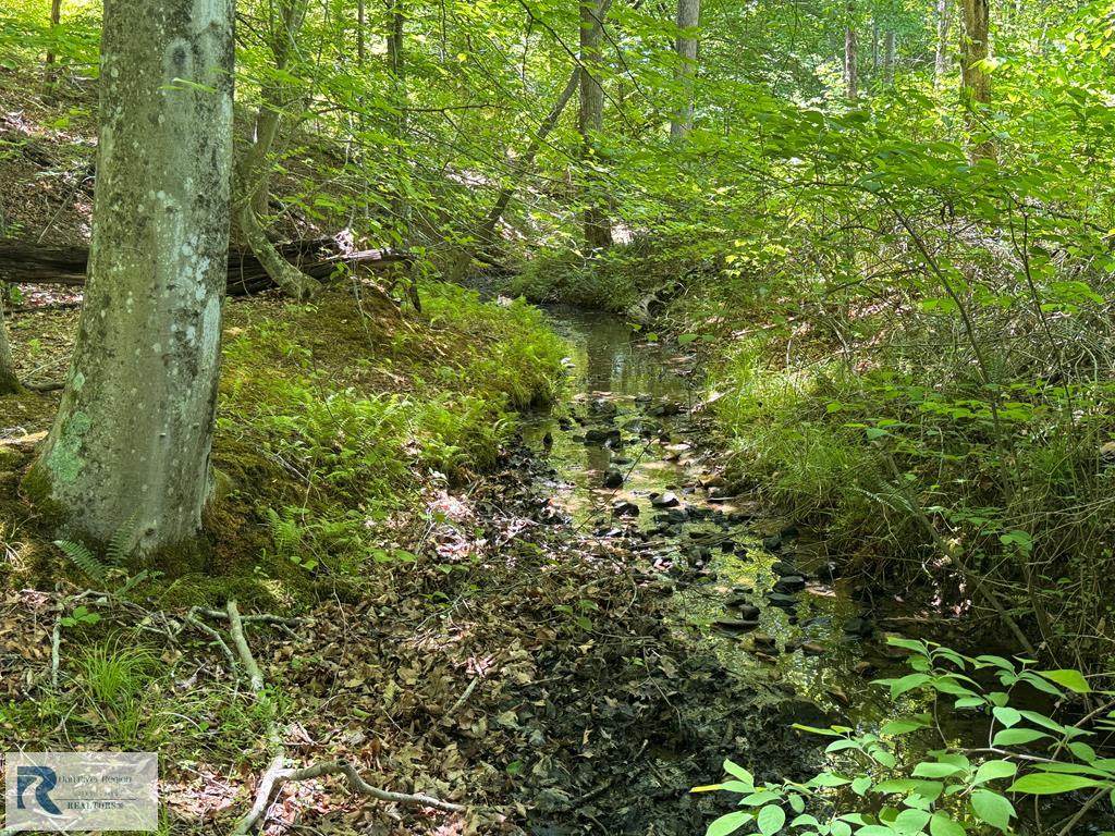 0 Triangle School Rd - Photo 1