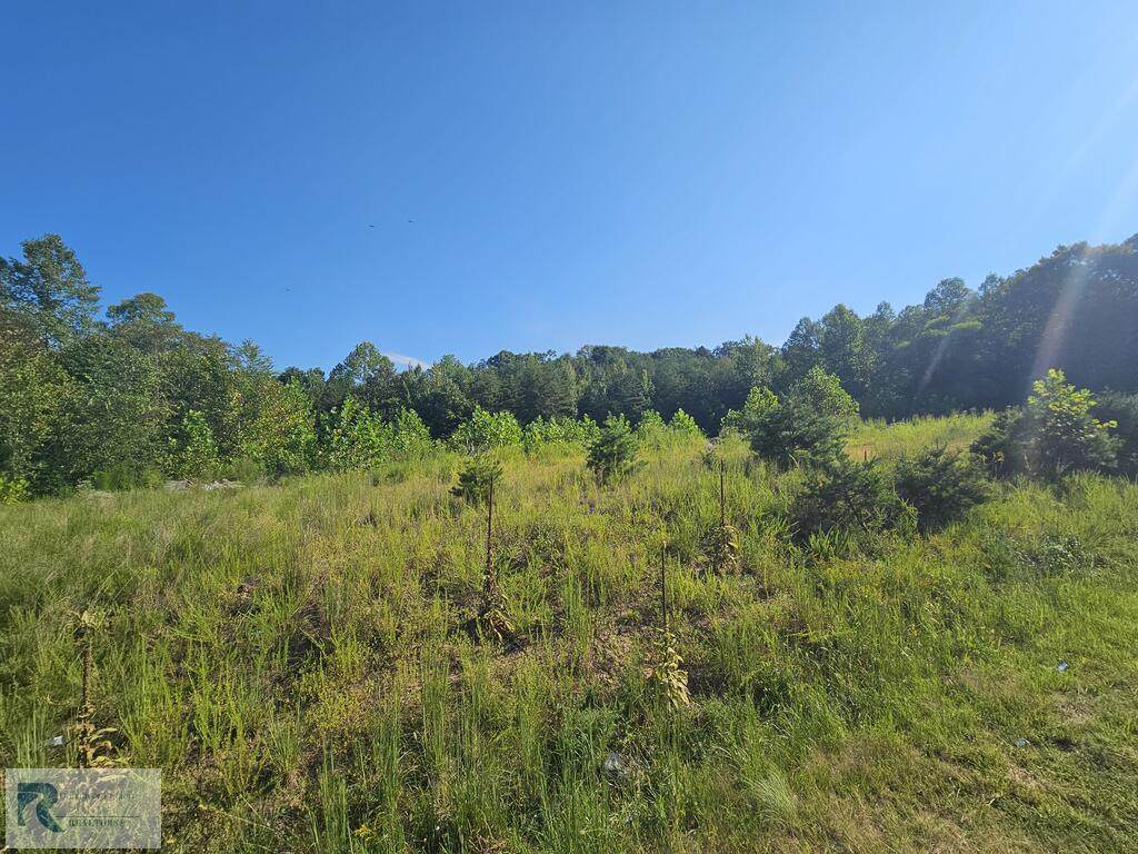 00 Walnut Creek Rd - Photo 1